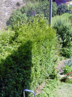 1223haieR.jpg (2802771 octets)