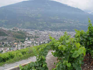 1273 Sion, chteau, vigne en avant-plan