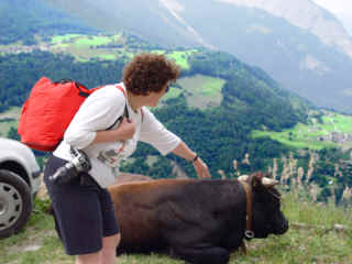 Hlne tentant d'approcher une vache